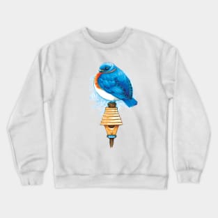 Beautiful Bluebird Bird Crewneck Sweatshirt